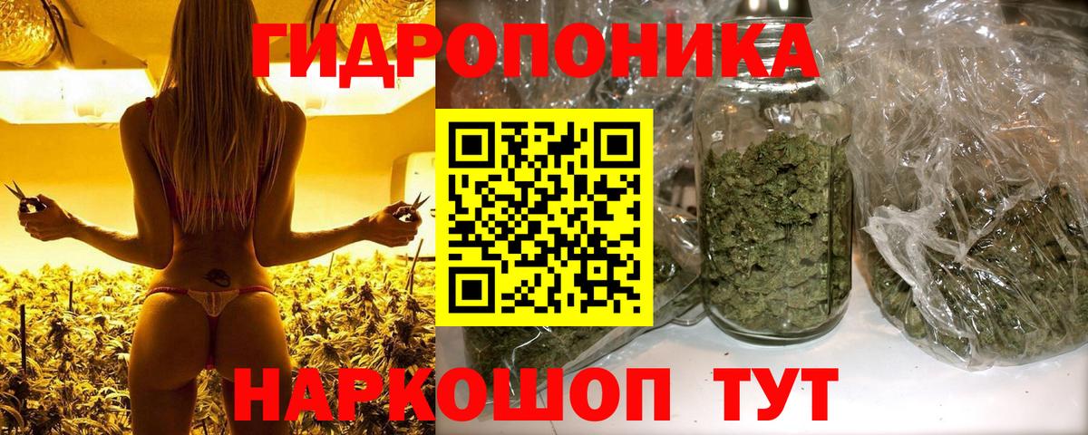 Бошки Шишки MAZAR  Конопля планчик  Канабис ГИДРОПОН  Вход с VPN  Бошки Шишки LSD WEED  Алатырь 